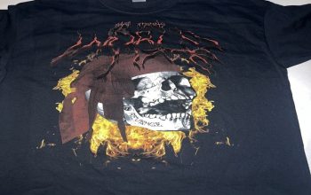 Unlocking the Magic: Exploring the Best Harmonquest Merchandise