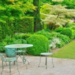 Discovering New Ways to Enhance Your Garden with Mulch