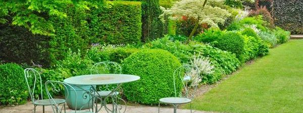 Discovering New Ways to Enhance Your Garden with Mulch